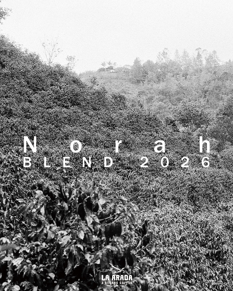 ノラ・ブレンド　ミディアム・ダークロースト 200g