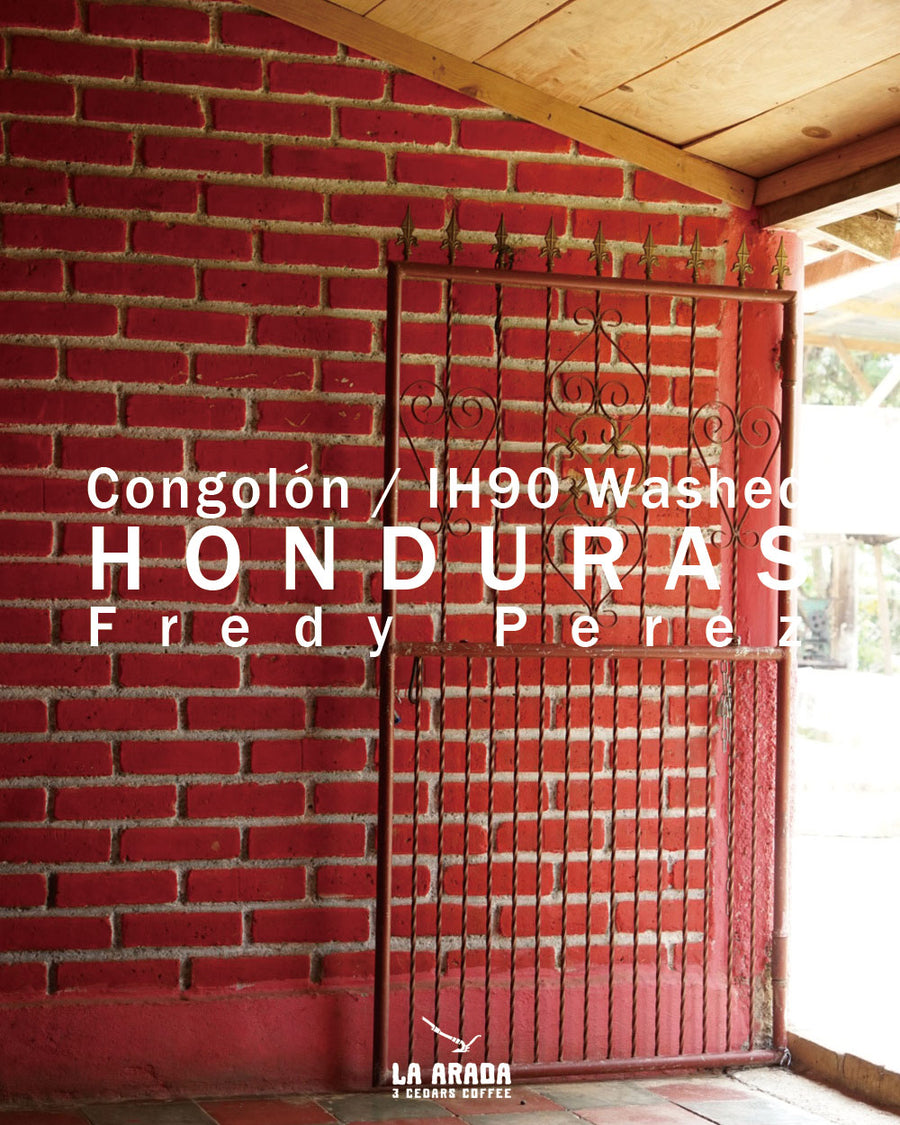 ホンジュラス　コンゴロン　フレディ・ペレスさん　IH90 ウォッシュド　200g