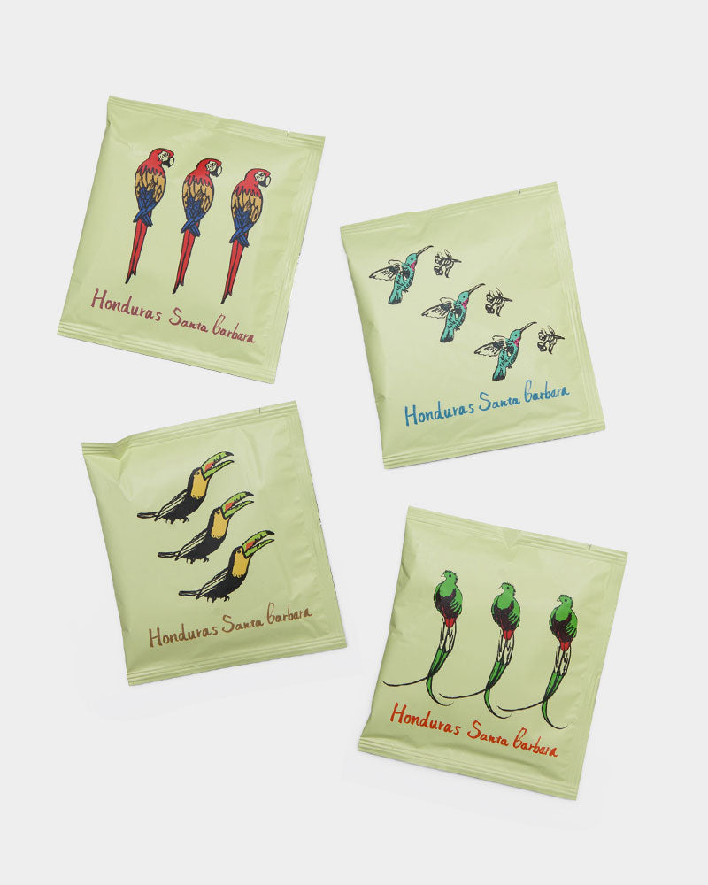 ホンジュラス　サンタ・バルバラ Honduras Santa Barbara ドリップバッグ