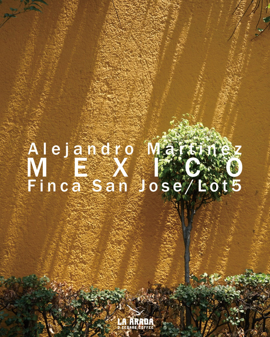 メキシコ　サン・ホセ農園　ウォッシュド 200g