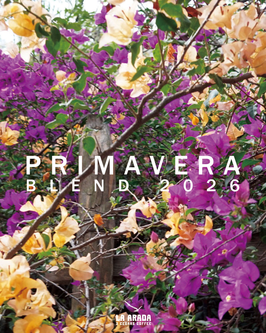プリマベーラ・ブレンド2026 中煎り 200g