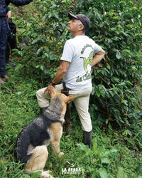 コロンビア　ラ・シンタ農園　ティピカ・メホラド種　ウォッシュド　200g