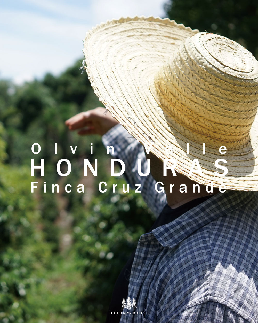 ホンジュラス　クルス・グランデ農園　オルヴィン・ヴァジェさん　パカス  ウォッシュド　200g