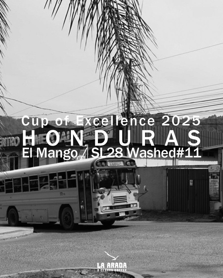 ホンジュラス エル・マンゴ農園 SL28 Cup of Excellence2025#11 100g